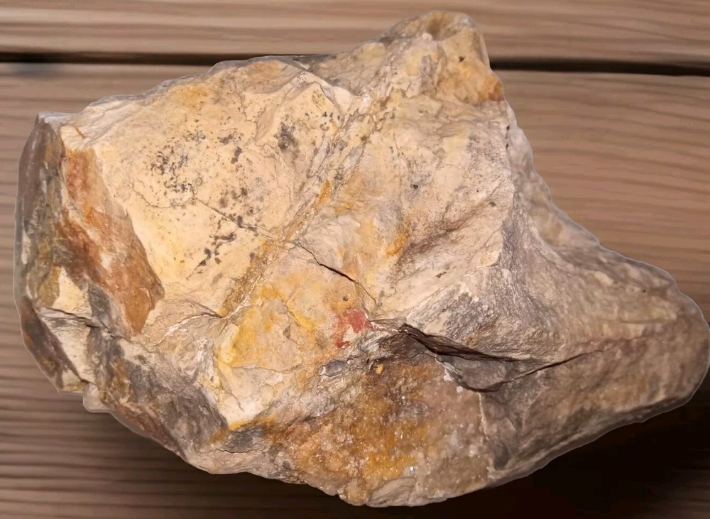 AZ Petrified Wood Rough 1 lb 5 oz