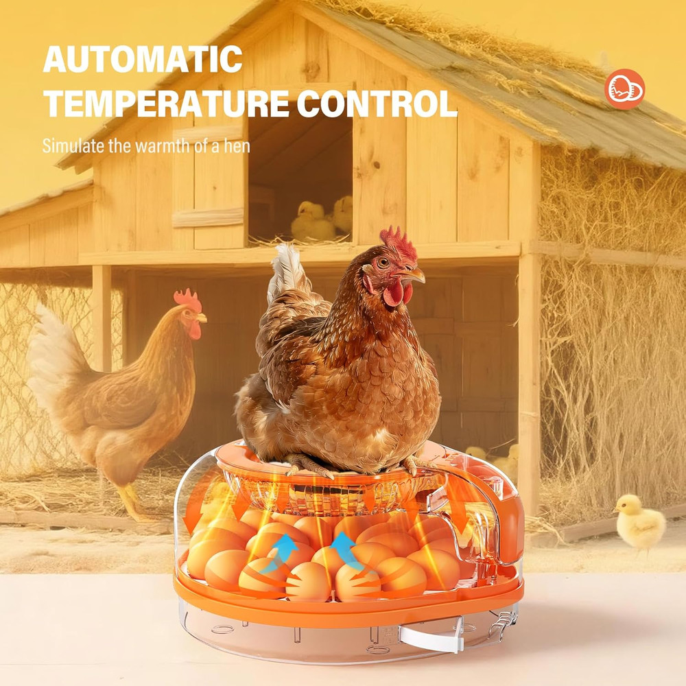 26 Incubators for Hatching Eggs Smart Voice Control Incubator with Auto Temp Hum