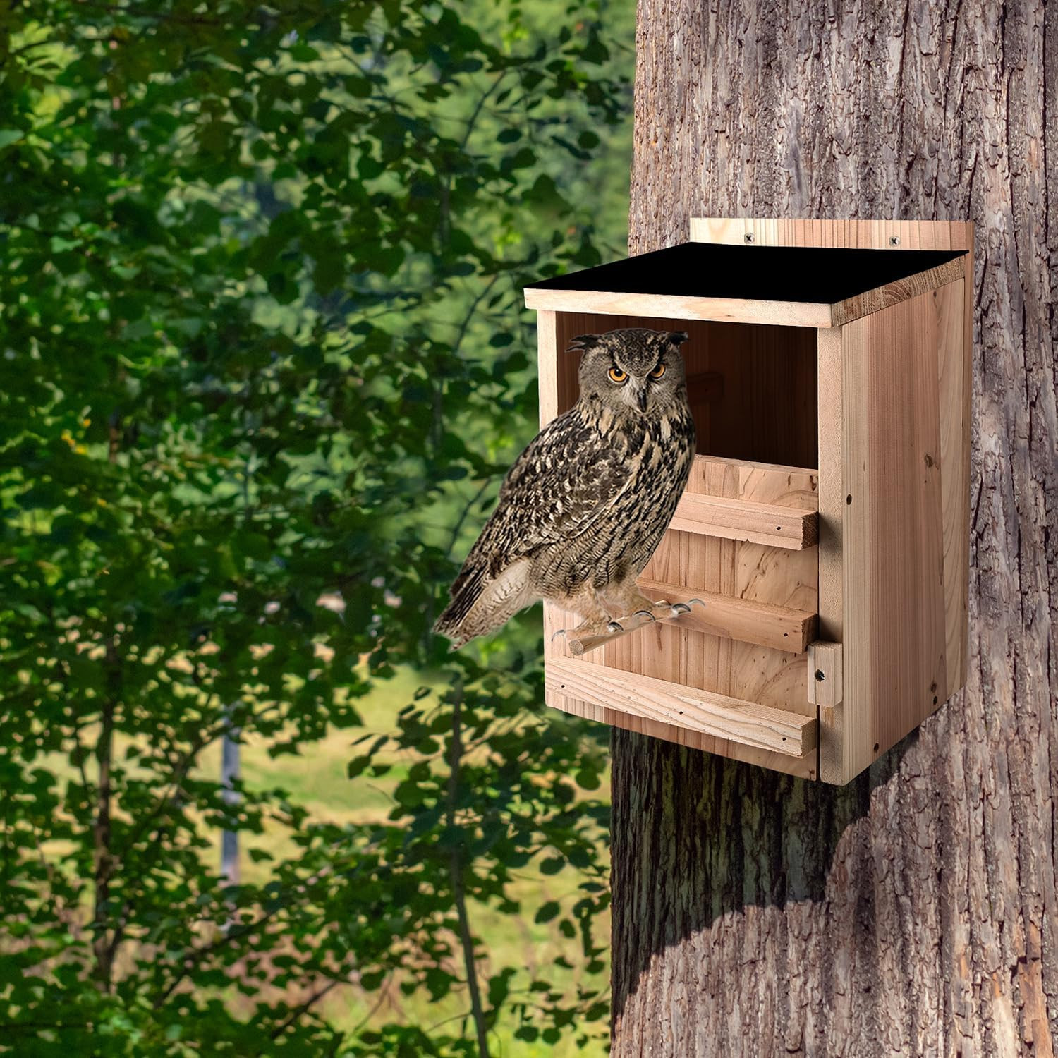 Owl House Premium Cedar Wood Screech & Barn Owl Nesting Box - Large Handmade Bir