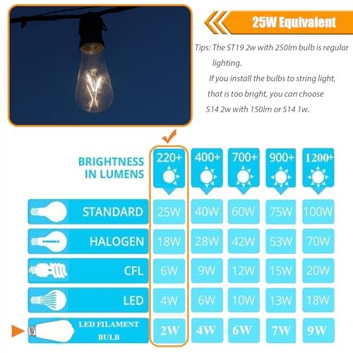 4000K Cool White LED Edison Bulbs 25W 12 Count (Pack of 1) 4000k Cool White