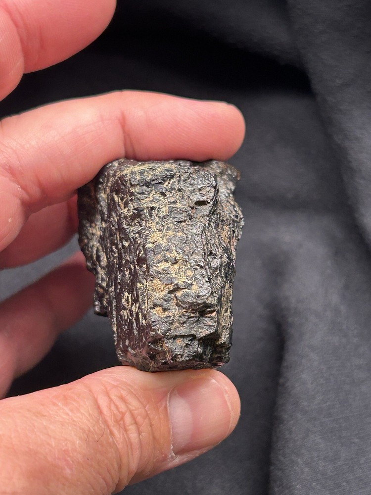 Lower Eagle Ford Cretaceous Coal Zone- Carbonized Dinosaur Age Material, Texas