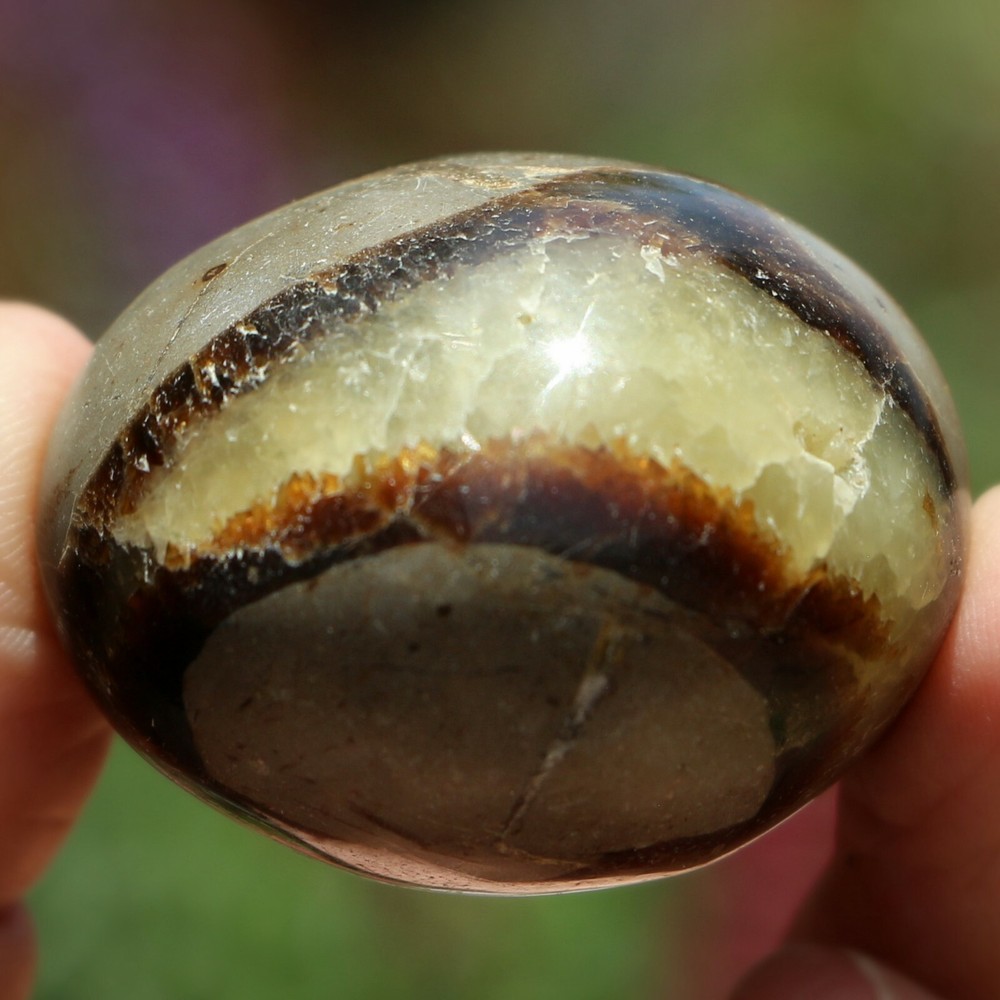 Polished Septarian Nodule (SEP99)