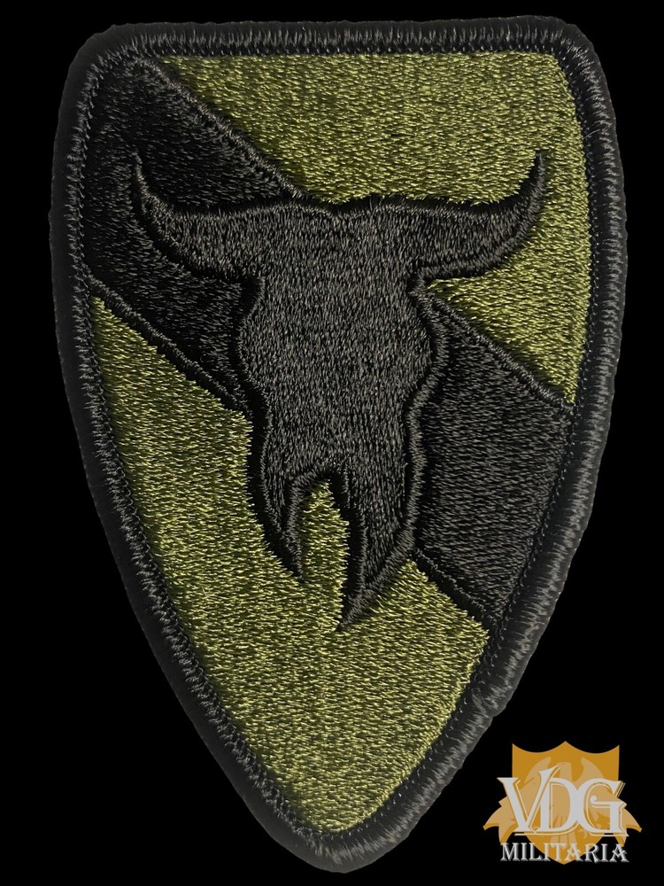 US Army 163rd Armored Cavalry Subdued Patch SSI Insignia