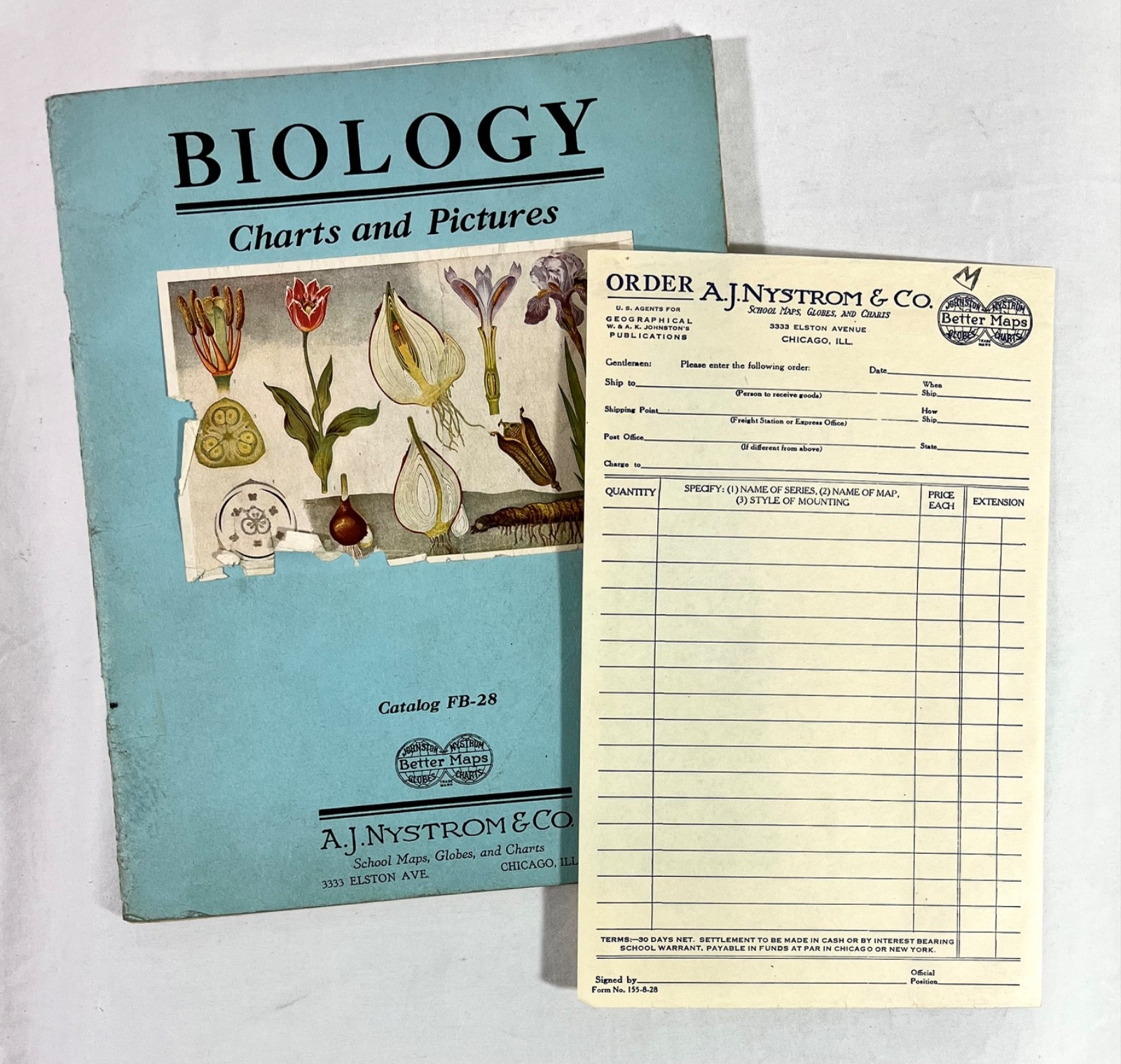 Rare 1928 A.J Nystrom Sales Catalog FB-28 Europe Charts Biology Medical Anatomy