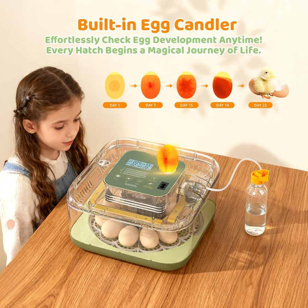 Fully Automatic Egg Incubator for Hatching Eggs, Auto Water Refill & Turner, 12