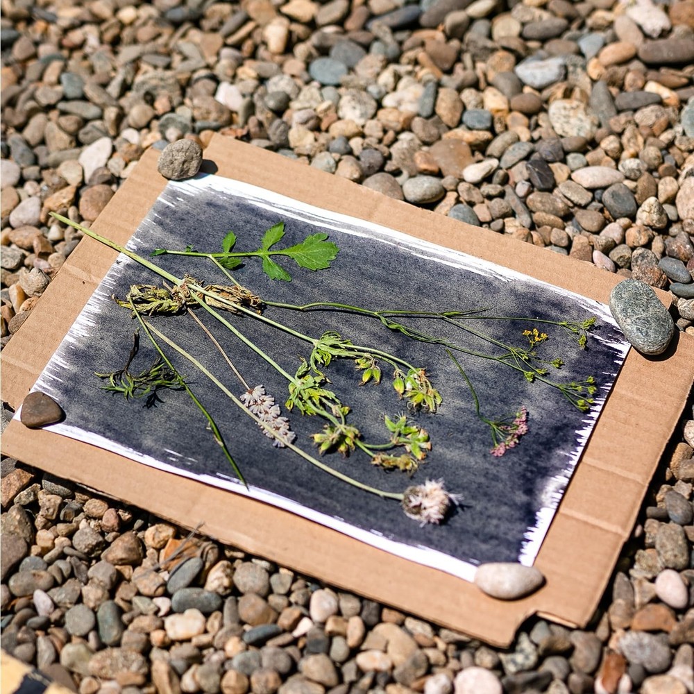 Cyanotype Kit Include 2 Component Sensitizer Set, 40 Sheets A5 Paper Brush To...