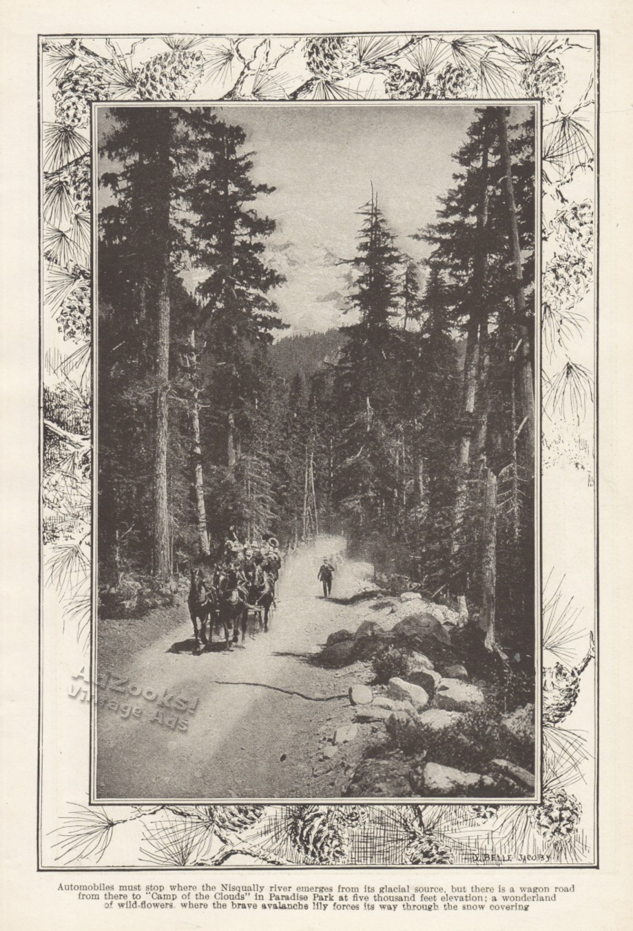 1912 Motoring in Mount Rainier National Park Print Article – Tour Bus & Inn Pix