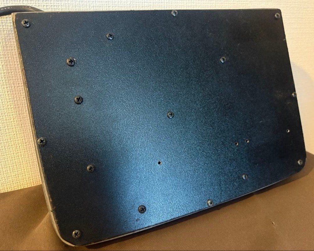 BOSS CE-1 Chorus Ensemble Working