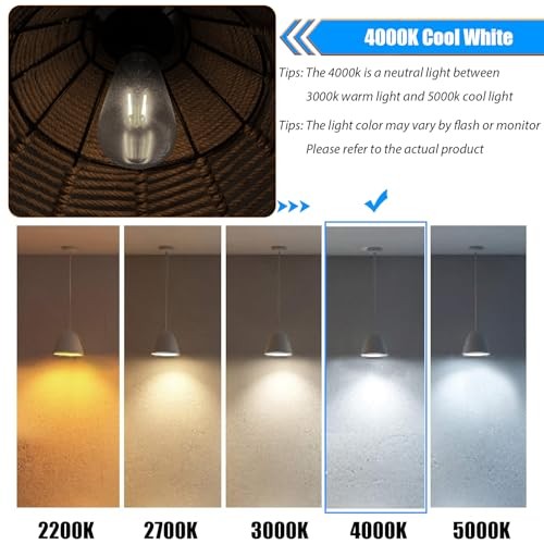 4000K Cool White LED Edison Bulbs 25W 12 Count (Pack of 1) 4000k Cool White