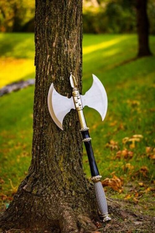 21" Double Blade Medieval Fantasy Fighting Axe with Plaque