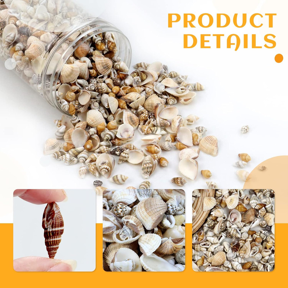 1500 Pcs Small Shells For Crafts,Small Sea Shells For Crafting,Mini Seashells...