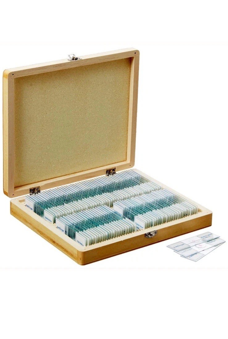 AmScope PS100E 100 Homeschool Biology Prepared Microscope Slides - Set E