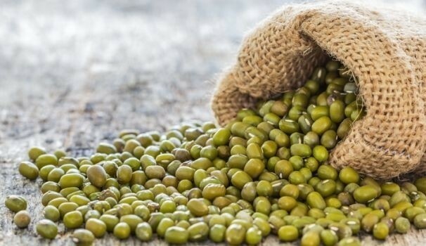 Whole Mung Bean ORGANIC aka'Green Gram' 'Maash' 'Moong' Prewashed Clean Safe