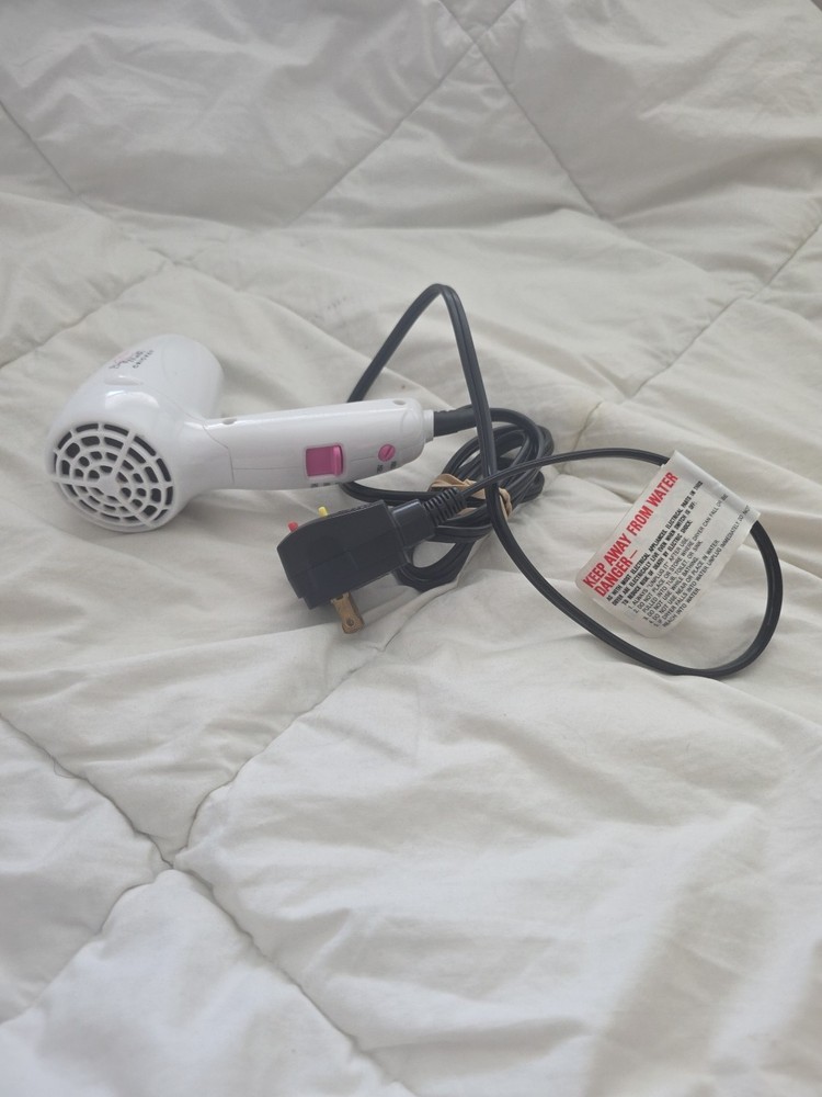 Tiny Hair DRYER BIG DRY