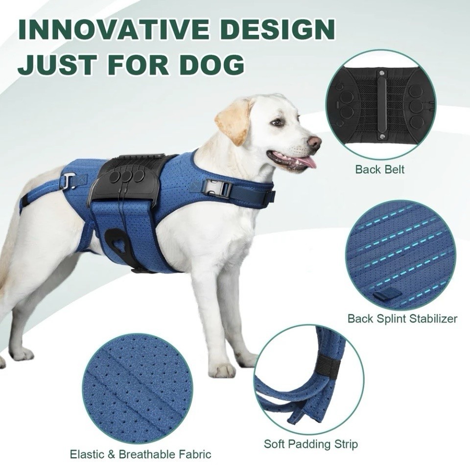 Haggemi Dog Back Brace Support-XL
