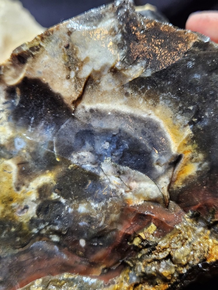 Opalized Agate w/ Cascading Moons Specimen Natural Form (8lbs 1oz)