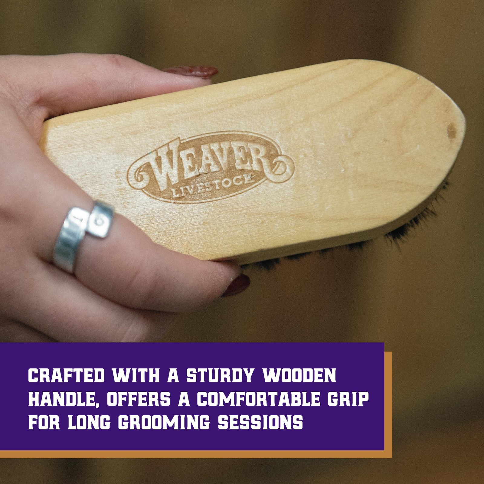 Grooming Brush for Goats, Sheep, Pigs, Cattle Stiff Bristles for Dirt Removal