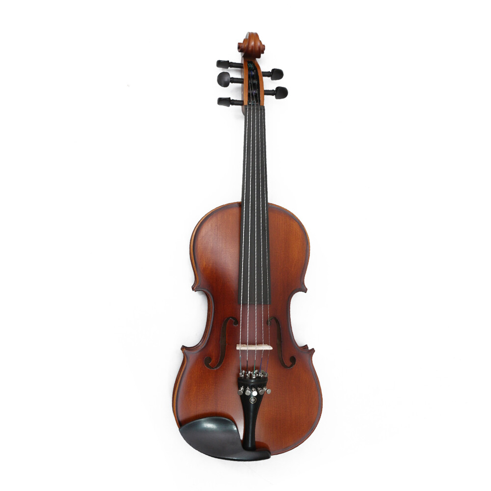 HandMade 4/4 Violin 5 String Violin Maple Spruce with Violin Case Bow Ebony