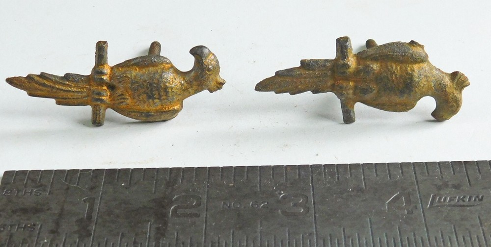 Pair asymmetrical Parrot picture hanging screws.