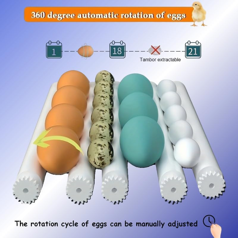 16Egg Incubator with Automatic Egg Turning and Humidity Control, Incubators for