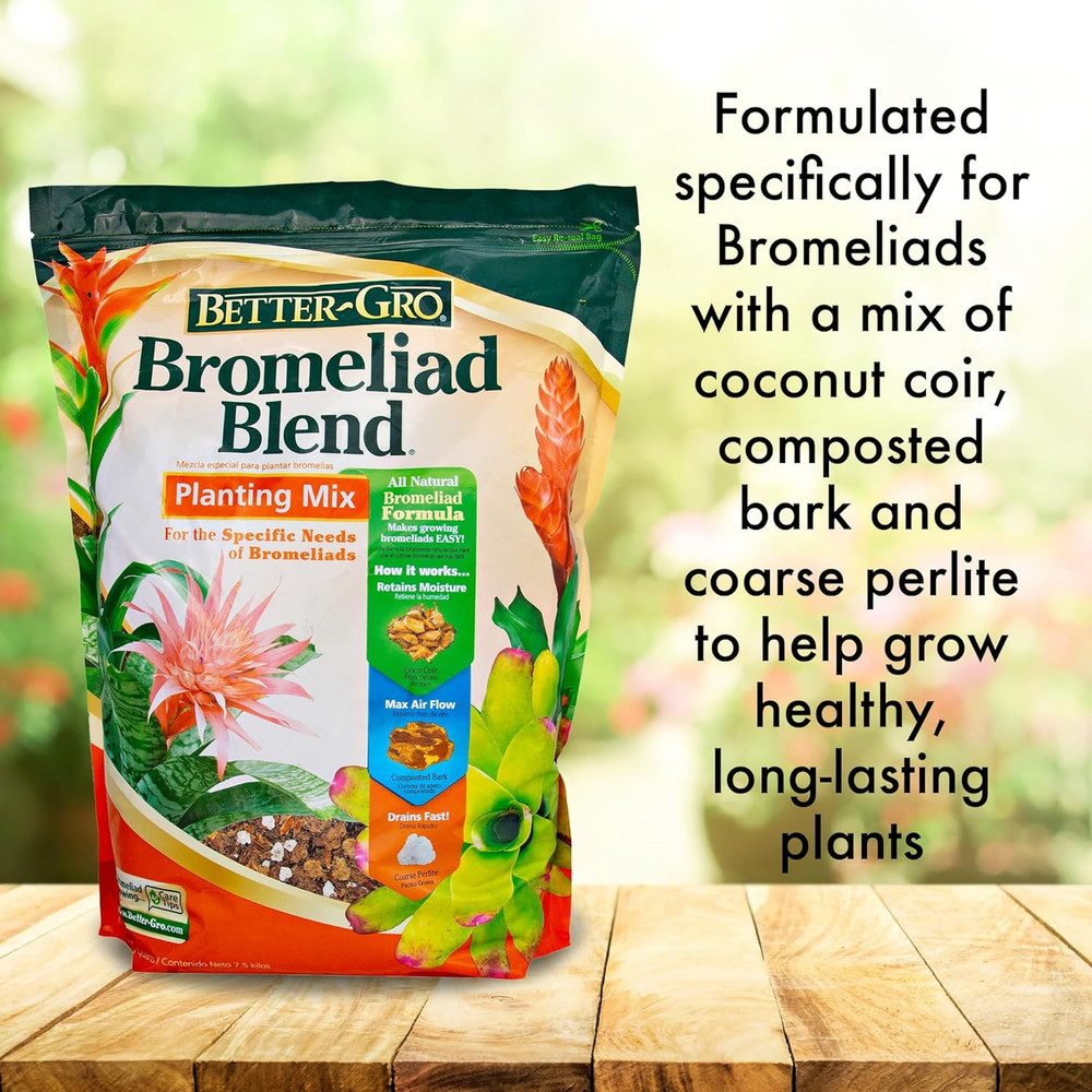 Bromeliad Blend 8 Quart