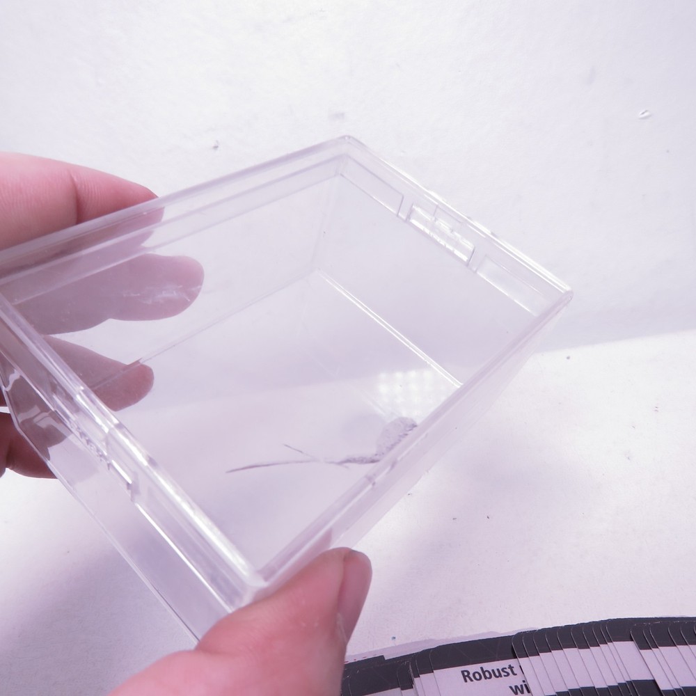 Morph Recognition Cards