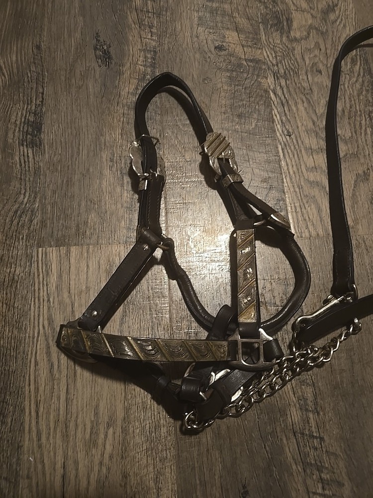 western show halter