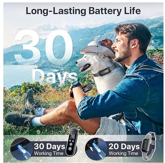 Dog Training Collar With Remote