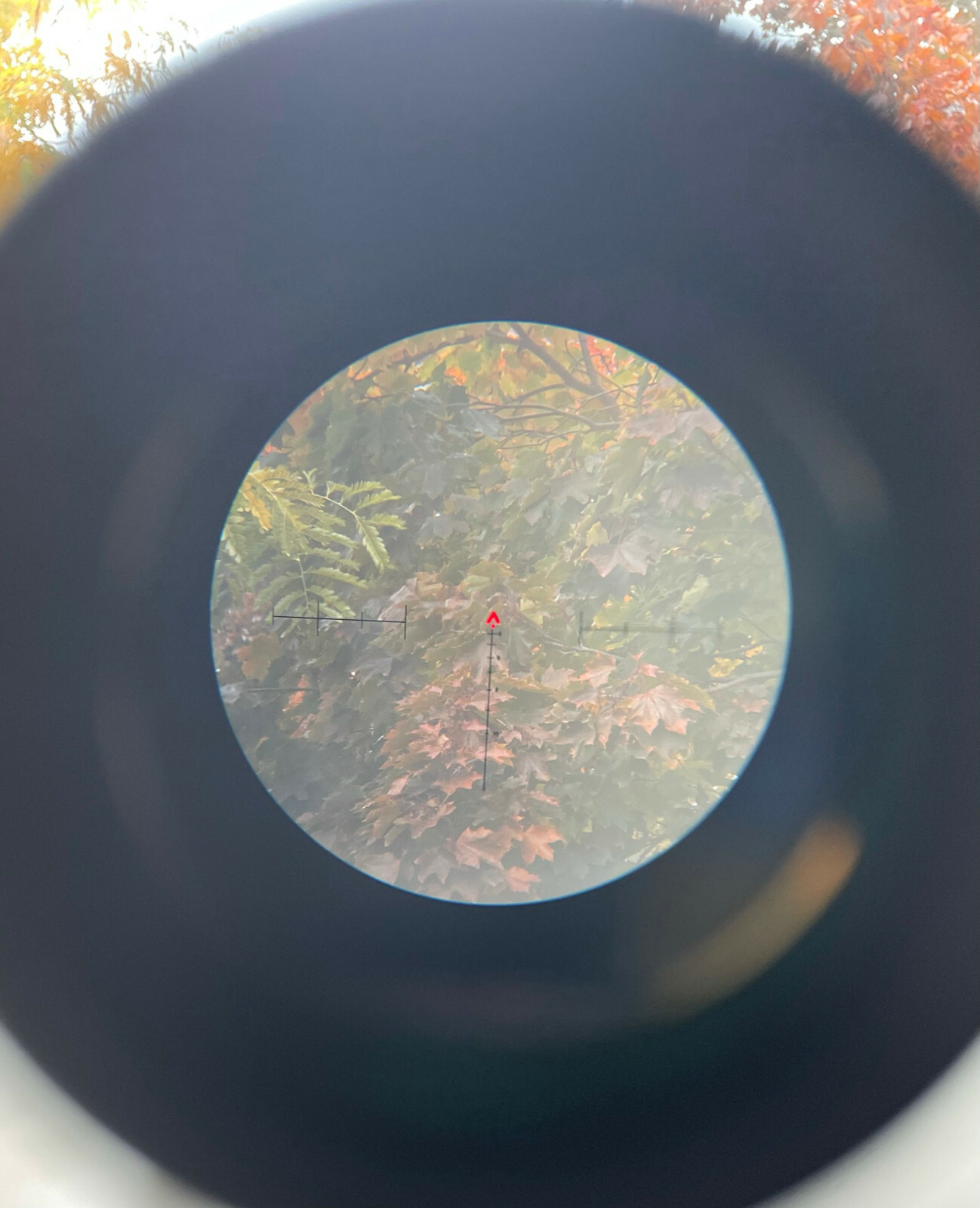 5x35 BDC Scope Fiber Optic Chevron Reticle Red Rifle Scope