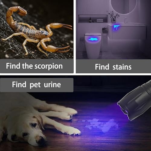 LED Rechargeable Red Flashlight, LED Small 395 NM Black Flashlight with 2 Pack