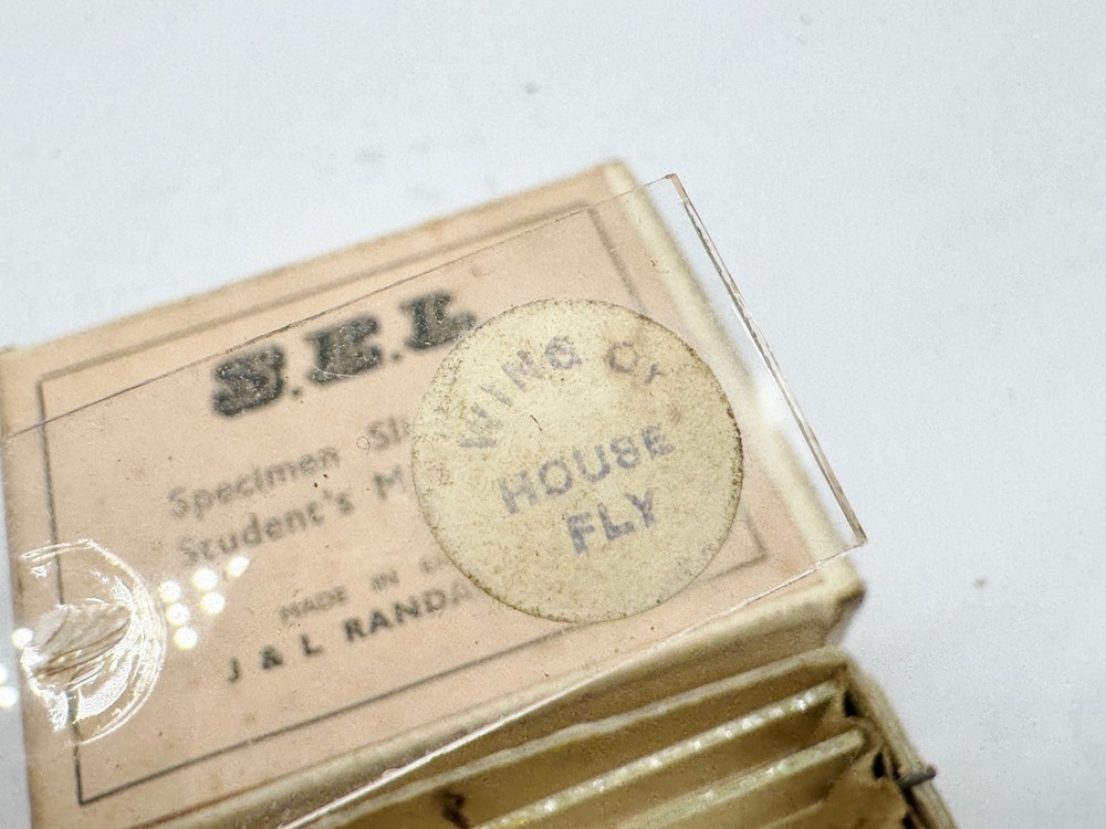 VINTAGE S.E.L. SPECIMEN SLIDES FOR STUDENT MICROSCOPE MADE IN ENGLAND
