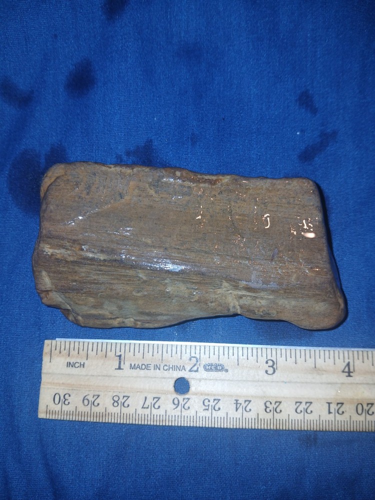 7.1 oz Petrified Wood