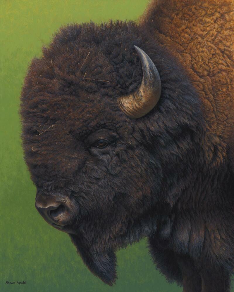 Ceramic Tile Mural Kitchen Backsplash - In His Prime - Buffalo Bison Artwork