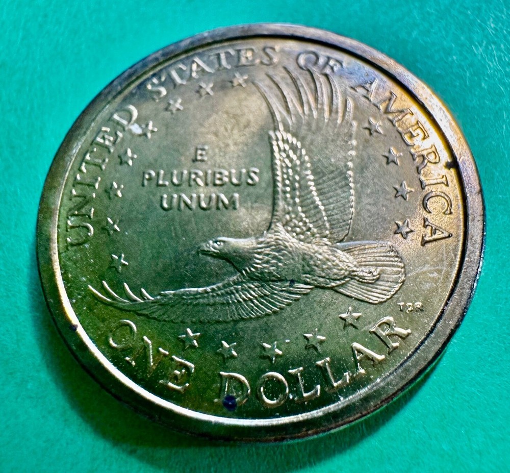 2000-P Sacagawea Dollar Uncirculated From Original Roll Mint Condition