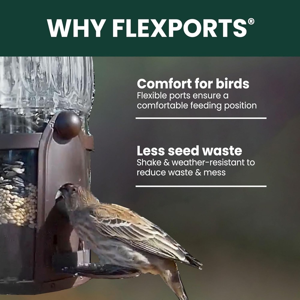 Shake-Resistant Bird Feeder with Weight-Activated Perches