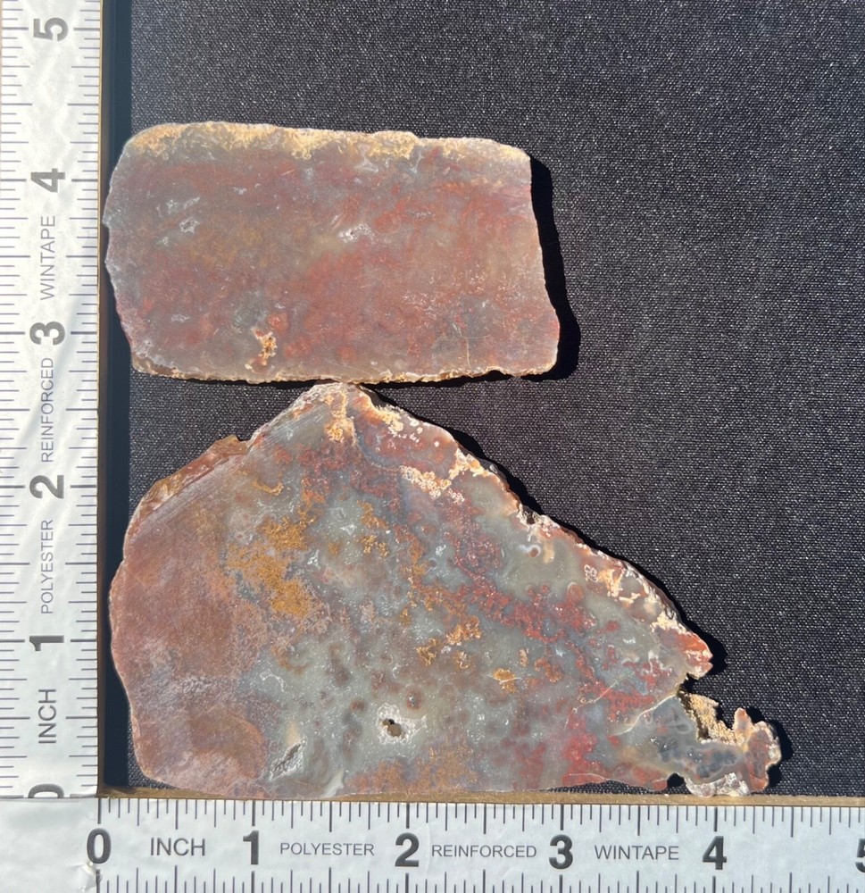 (X2) Rare Powell Butte Plume Agate Rough Slabs (C33)