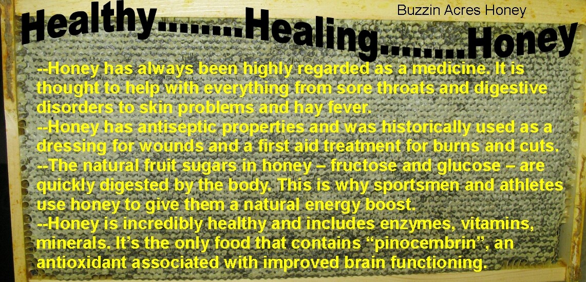 1 Gallon easy pour jug RAW Pennsylvania WILDFLOWER HONEY 100% PURE & NATURAL