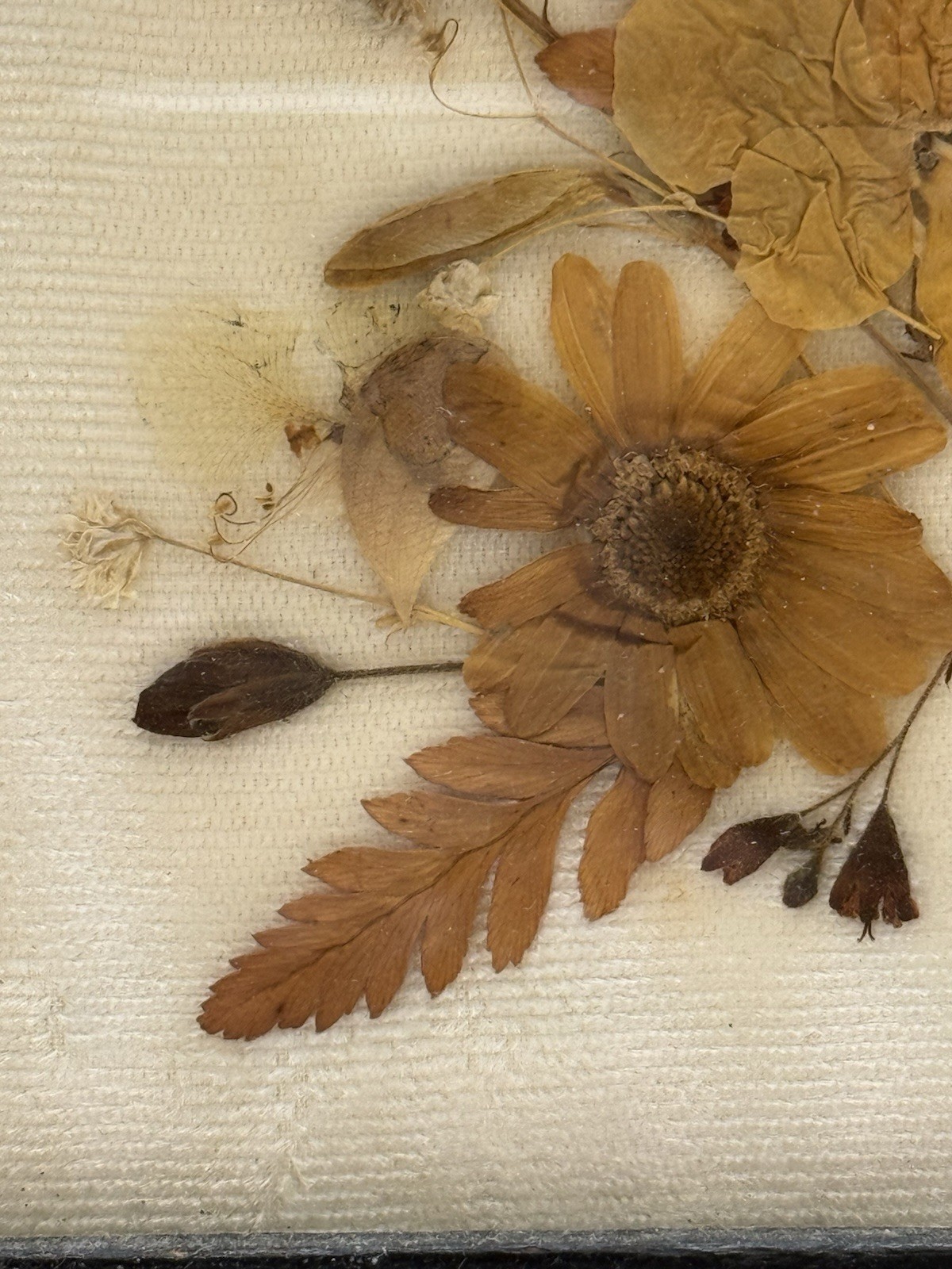 Vintage Dried Pressed Flowers Art Black Ornate Wall Hanging Frame