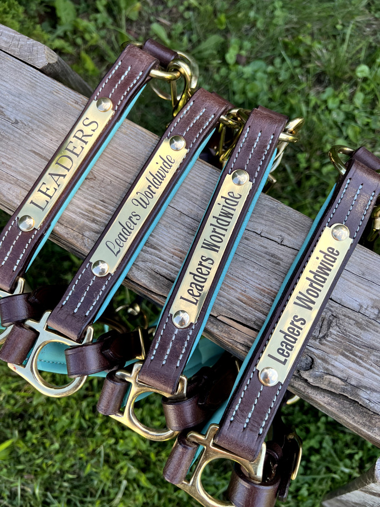 Leaders 1" Leather Halter with Turquoise Padding and Solid Brass Hardware