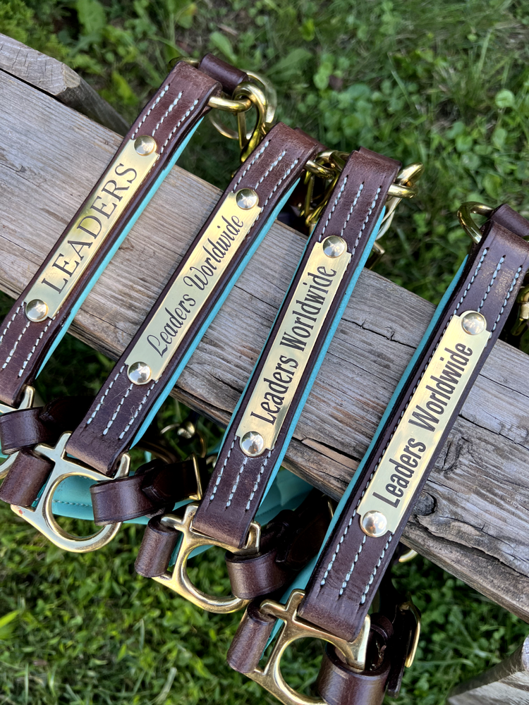Leaders 1" Leather Halter with Turquoise Padding and Solid Brass Hardware