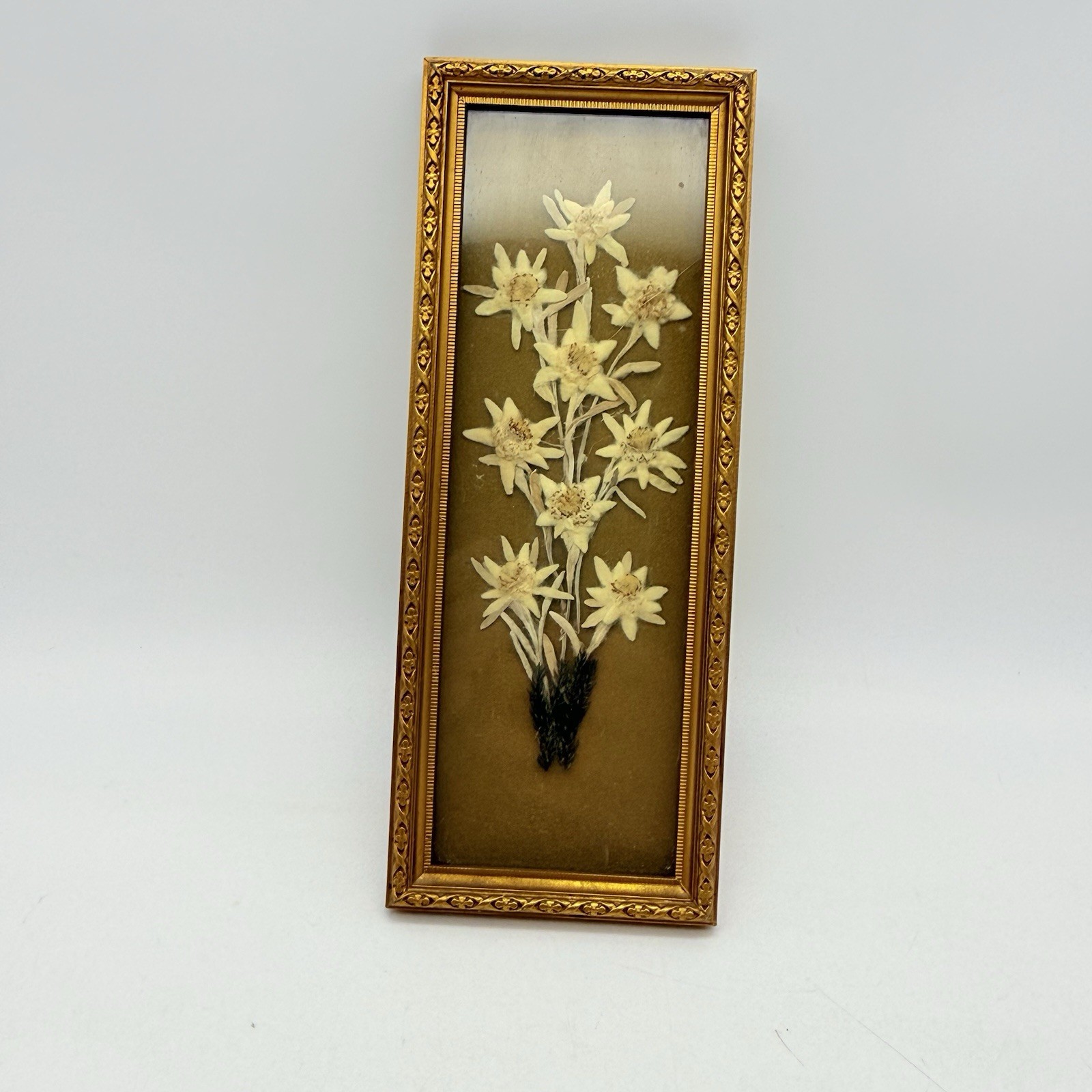 Vintage Pressed Flowers Framed