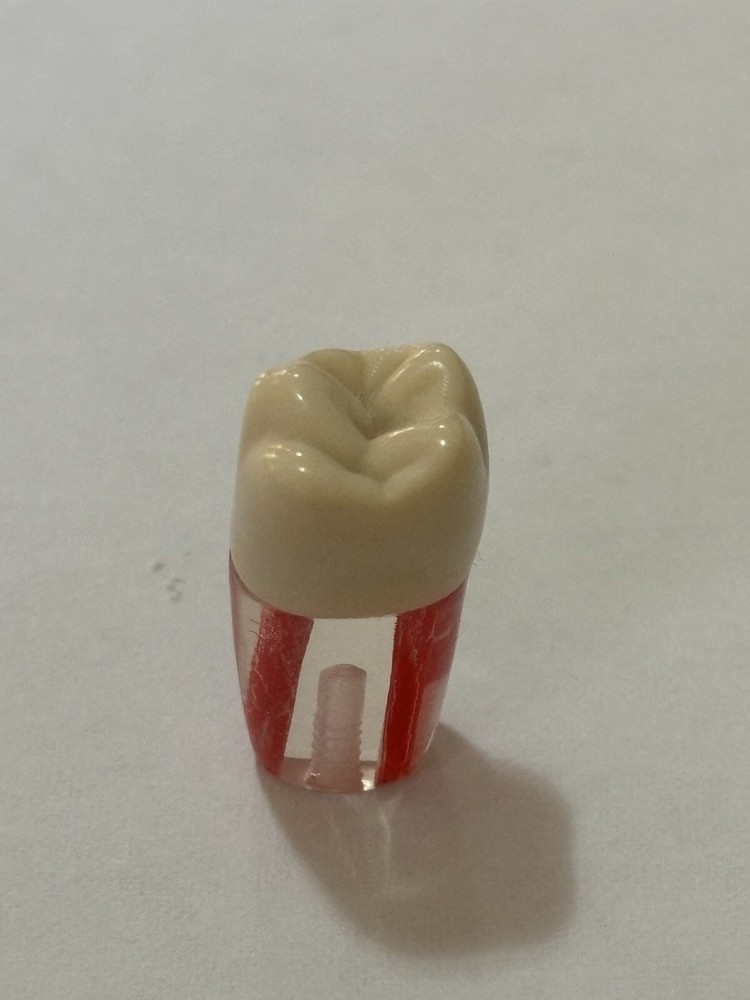 Endo Tooth #46 For ADC MODEL (10 Pack)
