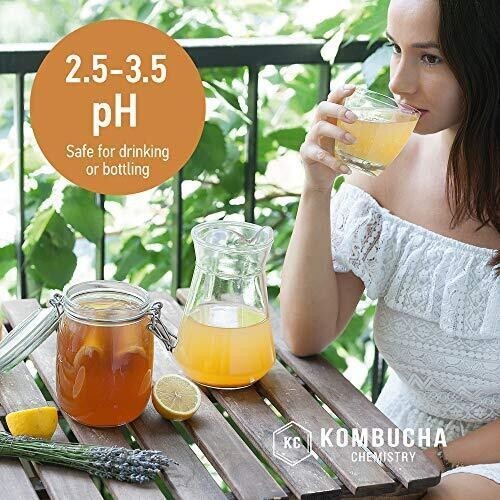 Ph Test Strips For Kombucha Brewing 06 0.5 Intervals 100pc Kit