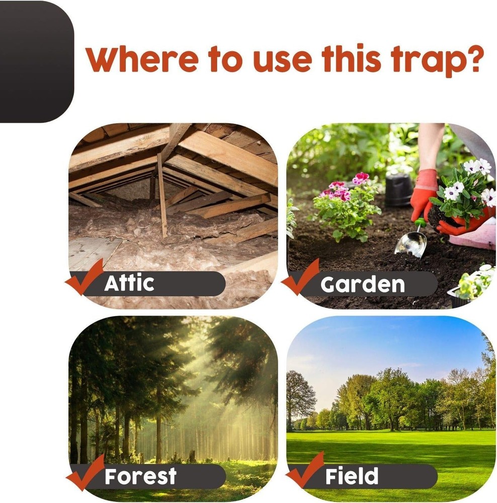 High-Quality Squirrel Trap - Efficient Extermination=