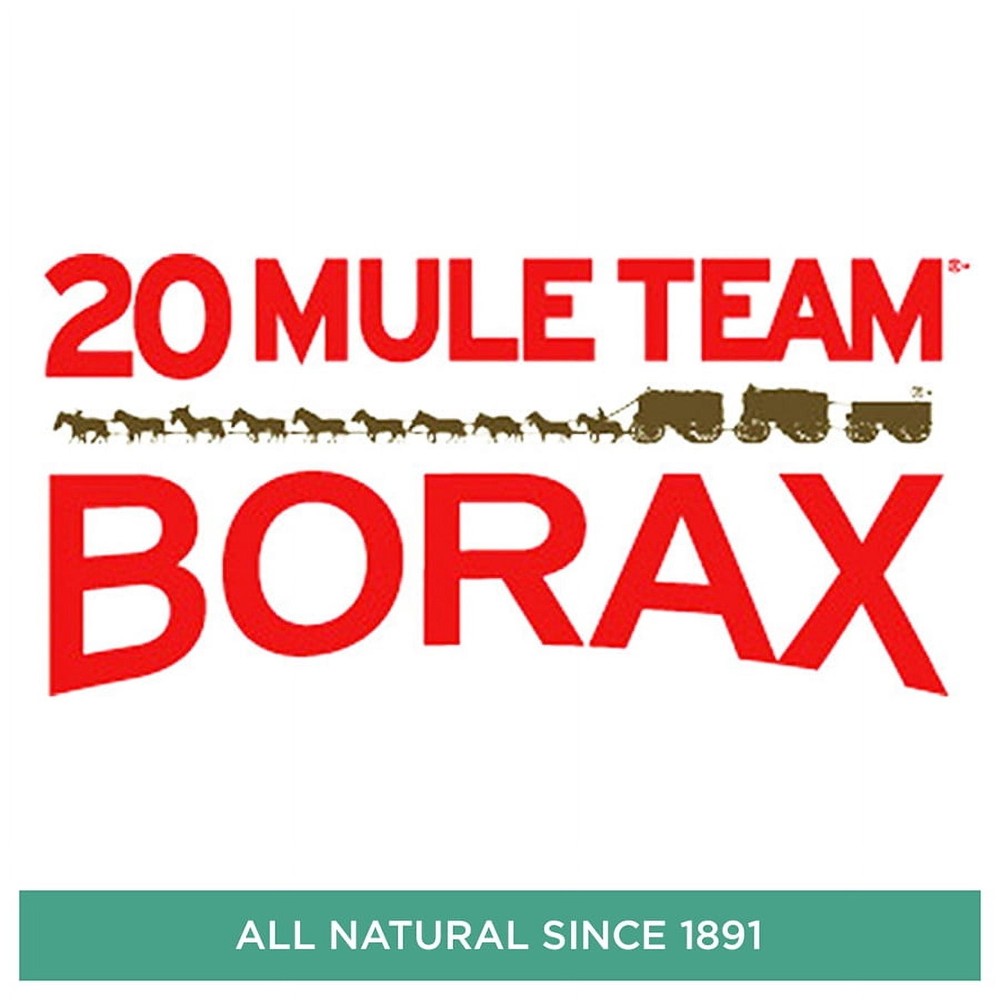 20 Mule Team Detergent Booster - 65oz
