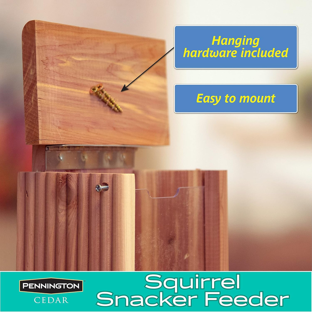 Cedar Squirrel Snacker Feeder, 2.75 LB Capacity