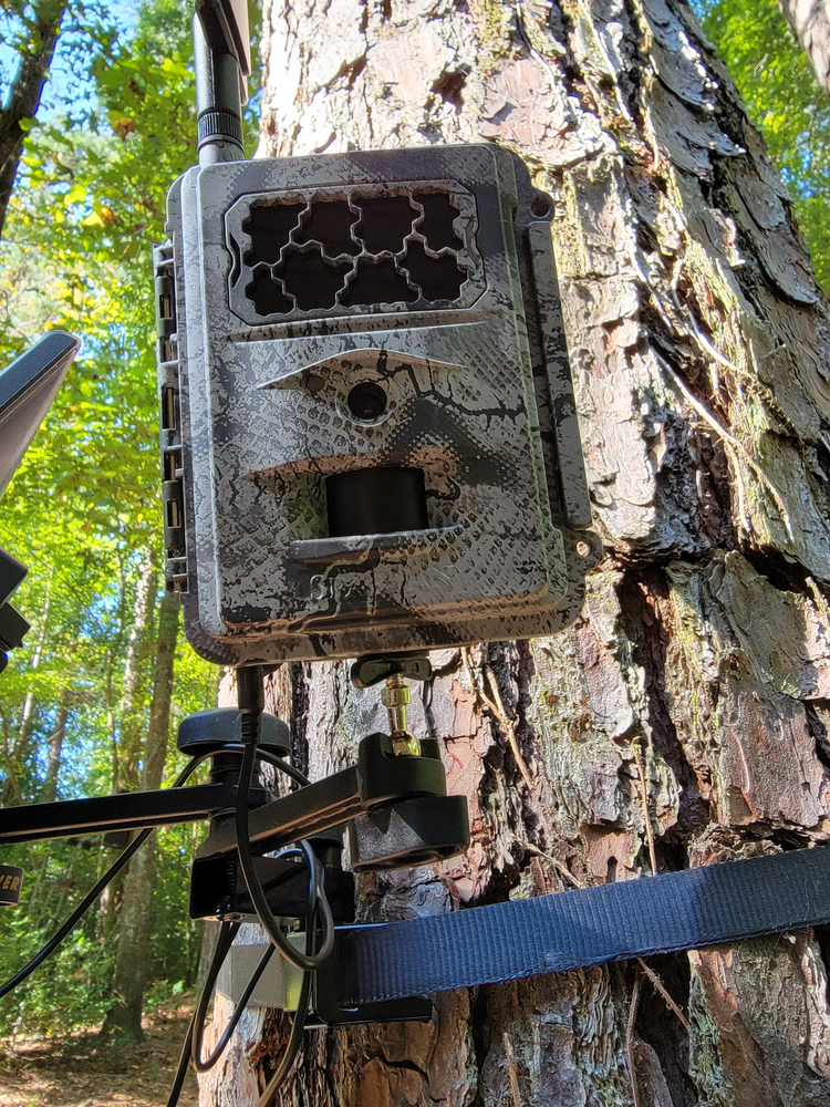 Dual Arm Trail Camera Mount Ratchet Strap