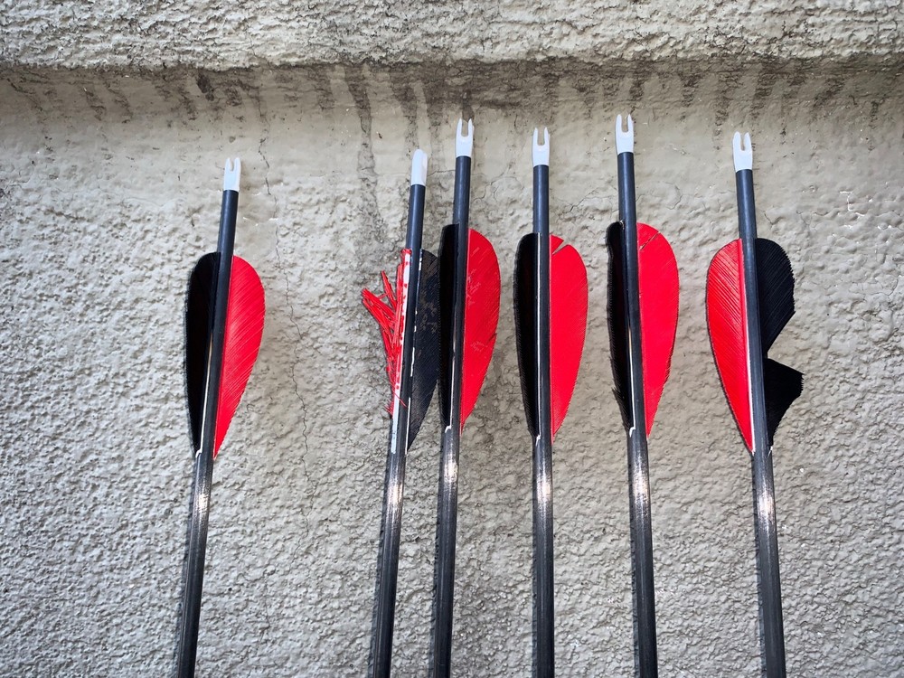 Genesis Mini Archery Bow Red with Easton Aspire arrows Untested