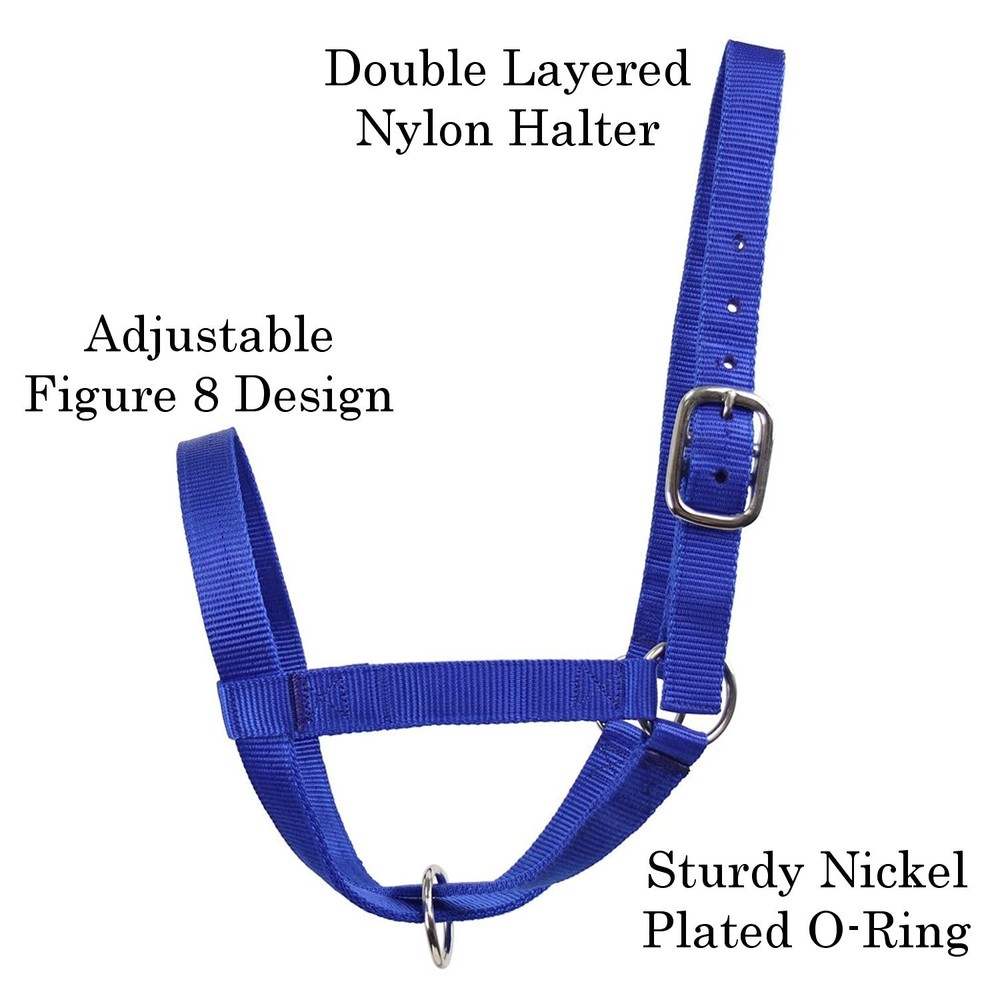 Durable Adjustable Nylon Cattle Halter For All Breeds Multiple Colors Available
