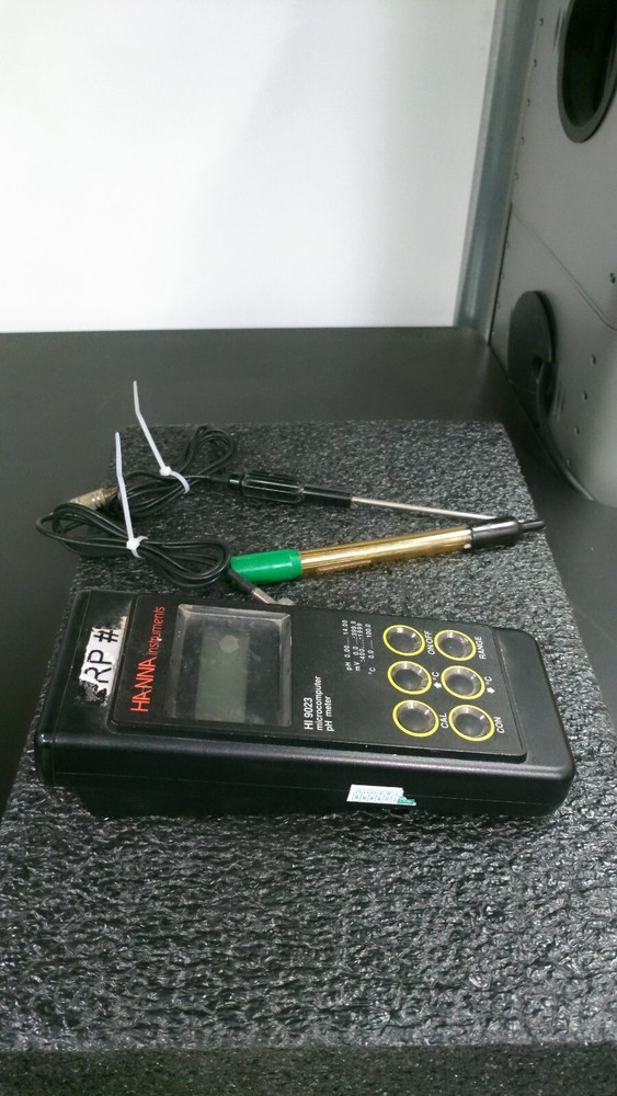 HANNA Instruments HI 9023 Microcomputer pH Meter with Probes